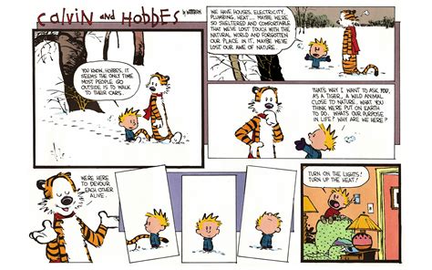 calvin and hobbes read online Epub