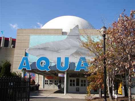 camden aquarium new jersey