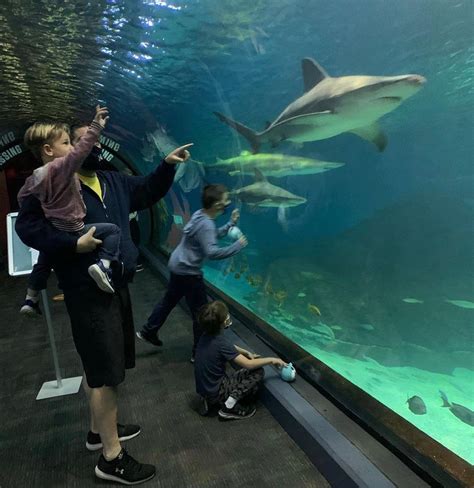 camden jersey aquarium