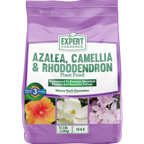 camellia plant fertilizer