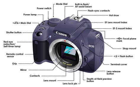 camera diagram for kids Ebook Epub