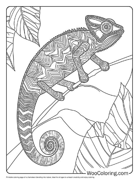 camouflage animals coloring in sheets PDF