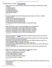 campbell biology chapter 9 test Reader