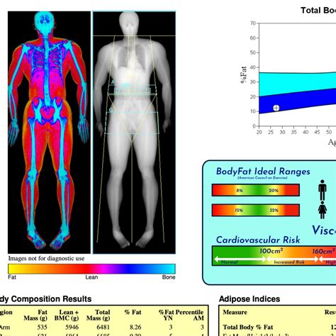 can a dexa scan show cancer