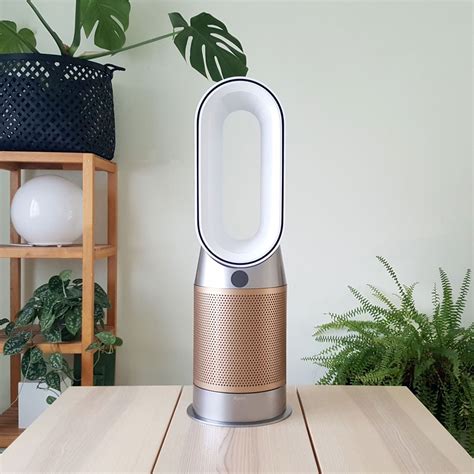 can an air purifier help with allergies