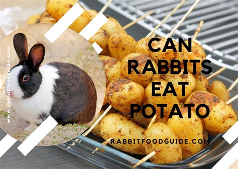 can bunnies eat potatoes