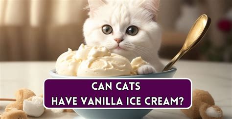 can cats have vanilla ice cream