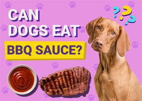 can dogs eat barbecue sauce