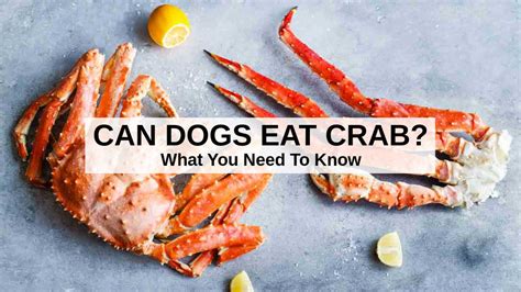 can dogs eat crab legs