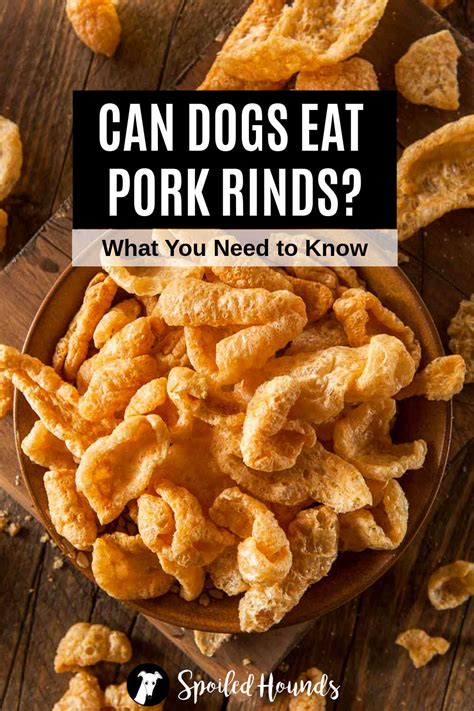 can dogs have pork rinds