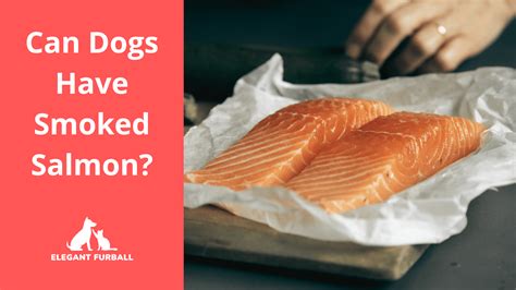 can dogs have smoked salmon