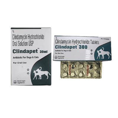 can i give my dog clindamycin 300 mg