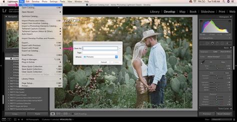 Can Lightroom Use Two Seperate Catalogs