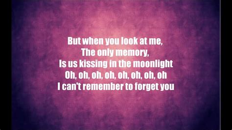 Can T Remember To Forget You Lyrics