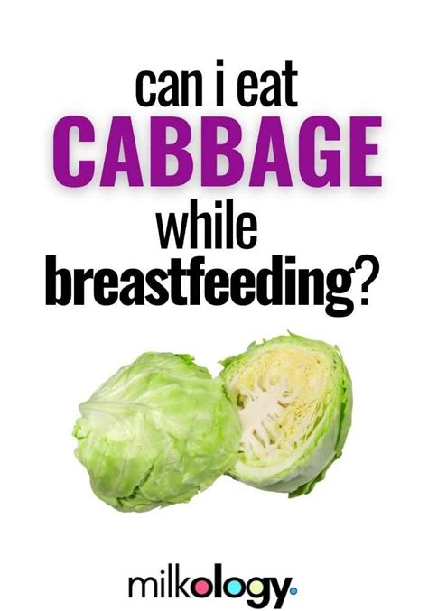 can we eat cabbage during breastfeeding