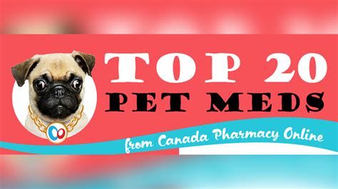 canada pet pharmacies licensed and accreditated in canada