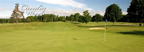 candia woods golf course nh