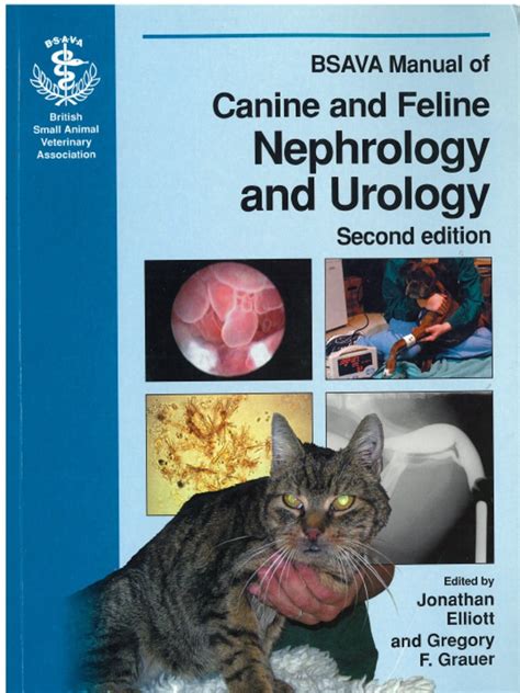 canine and feline nephrology and urology Epub