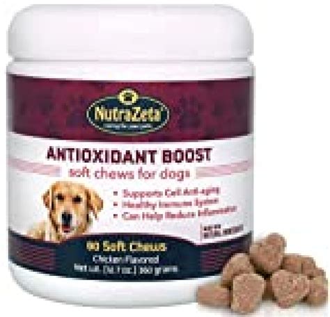 canine anti inflammatory natural