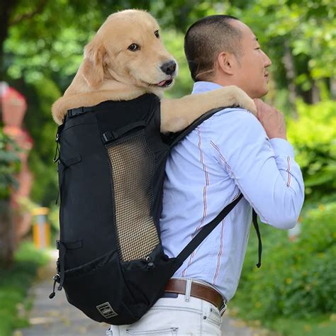 canine backpack carrier