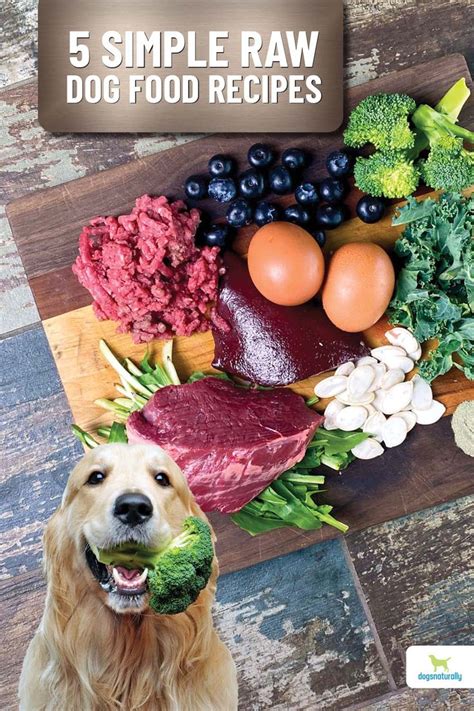 canine raw diet recipes