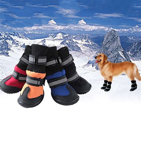 canine snow boots