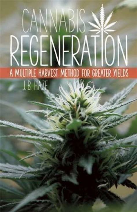 cannabis regeneration a multiple harvest method for greater yields Epub
