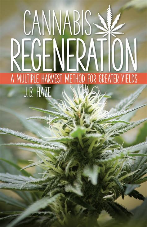 cannabis regeneration a multiple harvest method for greater yields Epub