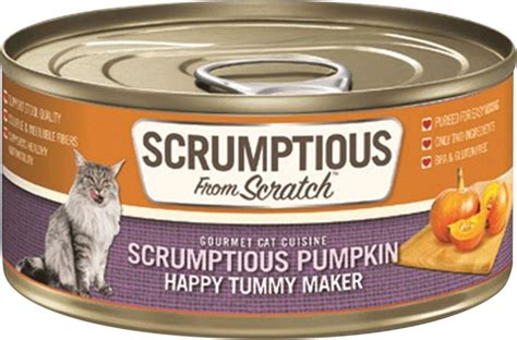 canned pumpkin for cats