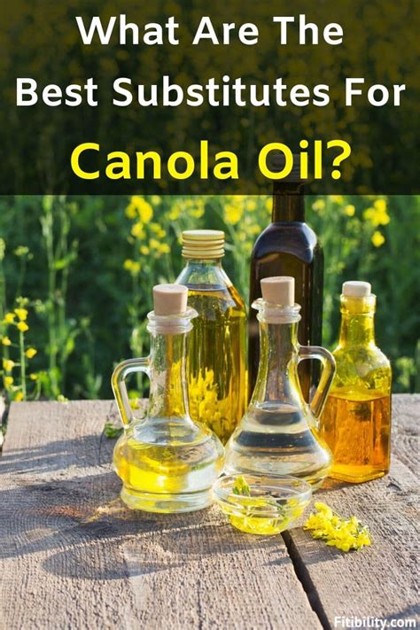 canola oil alternative