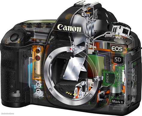 canon camera repair cost Doc