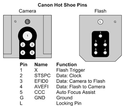 canon hot shoe wiring diagram Kindle Editon