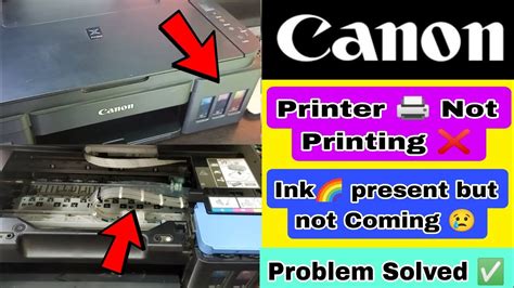 canon i9100 printer problems Kindle Editon