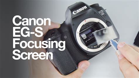 canon manual focus screen Reader