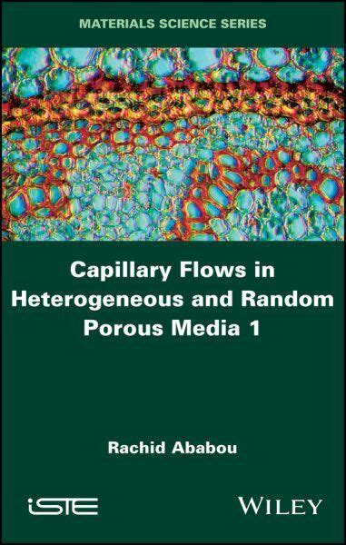 capillary flows heterogeneous stochastic porous PDF