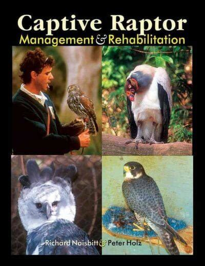 captive raptor management and rehabilitation PDF