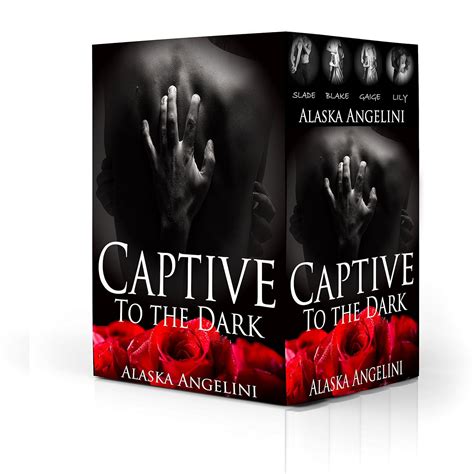 captive to the dark boxed set slade blake gaige and lily PDF