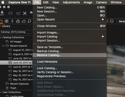 Capture One Restore Catalog From Backup
