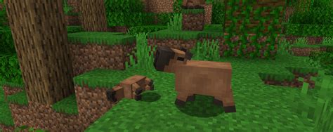 capybara promenade minecraft