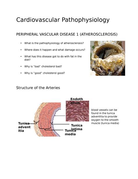 cardiovascular pathophysiology cardiovascular pathophysiology Kindle Editon