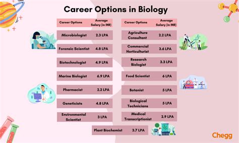 career options in cc vs university