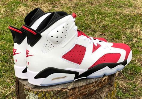 carmine 6