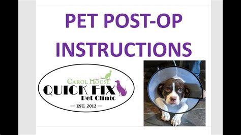 carol house pet clinic