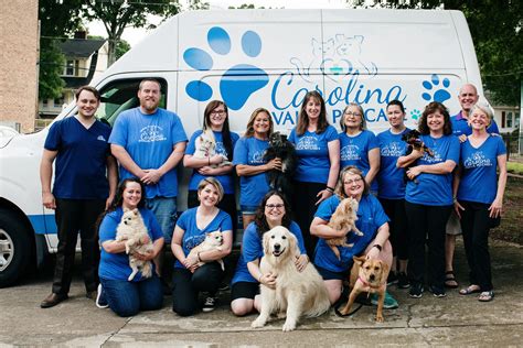 carolina value pet care