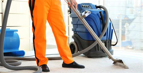 carpet cleaners san diego Doc