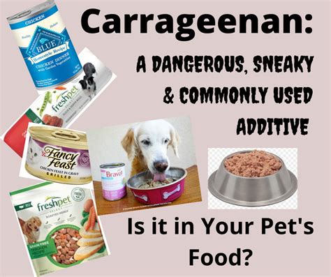 carrageenan in cat food