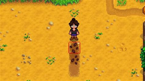 carrot seeds stardew