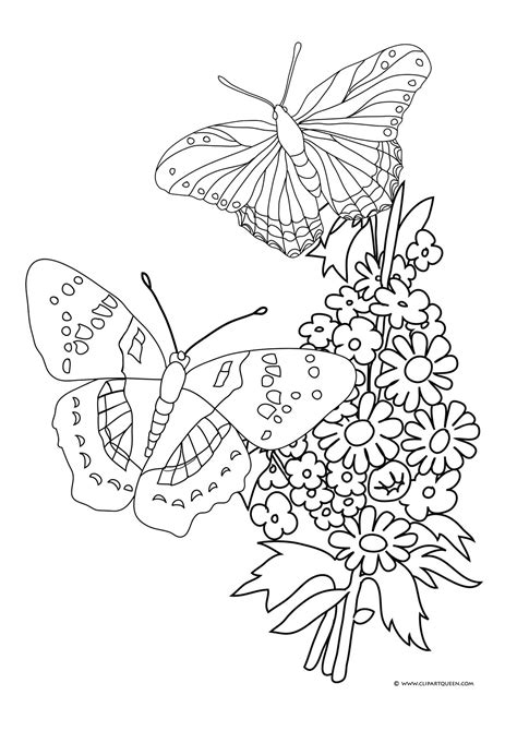 cartoon butterflies flowers designs coloring Doc