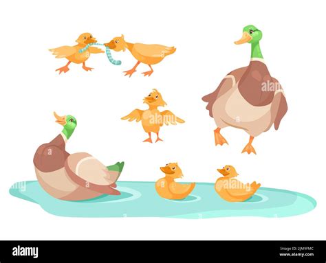 cartoon fighhting duck