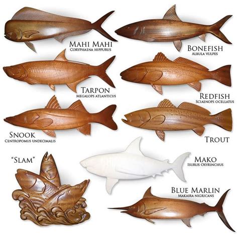 carving tropical fish with patterns and instructions for 16 projects PDF